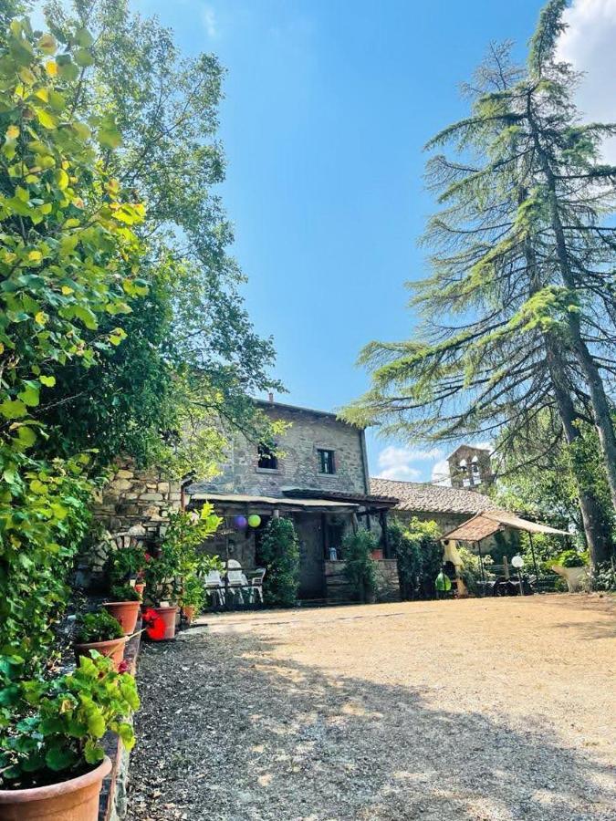 Casa Le Celle Pensionat Cortona Eksteriør billede